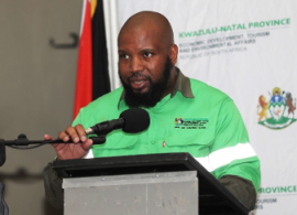 Over 14 000 youths employed in KZN greening project
