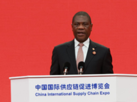 Deputy President Mashatile.