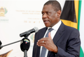 Deputy President Mashatile.