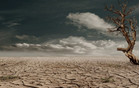 Protracted drought is one of the devastating effects climate change.