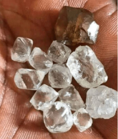 KwaZulu-Natal Premier Sihle Zikalala has called for order and calm amid reports of illegal mining taking place in KwaHlathi, outside Ladysmith, where throngs of people have gathered to mine what they believe are diamonds.