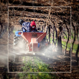 Limited access to funding and land, including bureaucracy, are among the key challenges facing young people in the agricultural sector.