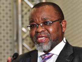 The Minister of Mineral Resources and Energy, Gwede Mantashe.