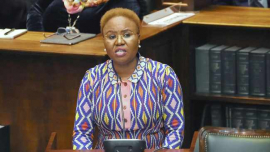 Social Development Minister Lindiwe Zulu. Image: ANA