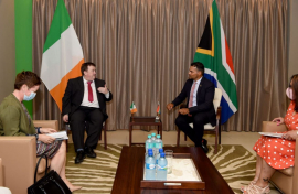 Deputy Minister Alvin Botes and Ireland's Minister Colm Brophy.