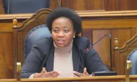 Member of Western Cape Provincial Legislature, Matlhodi Maseko