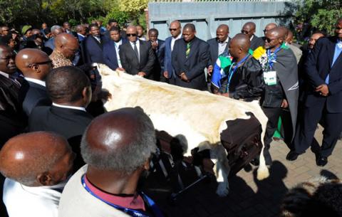 Local chiefs led by Chief Matanzima (back left with leopard print shirt) took over from the ANC to lead the body of Nelson Mandela into his home in Qunu. The casket is drapped in lion skin. Source: GCIS