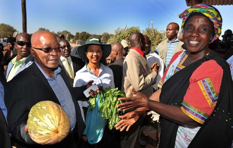 President Zuma and Agriculture Minister Tina Joemat-Pettersson receive vegetables as presents during their visit to the Muyexe Macena Gardens. Source: GCIS