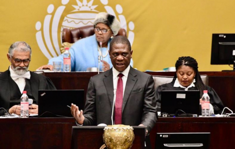 Deputy President Paul Mashatile answers questions in the National Assembly.