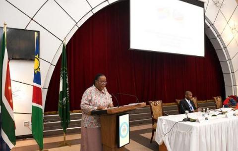 Minister Naledi Pandor addresses Council of Ministers Meeting ahead of 3rd Session of the South Africa - Namibia Bi-National Commission.