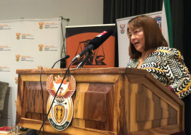Public Works and Infrastructure Minister Patricia de Lille.