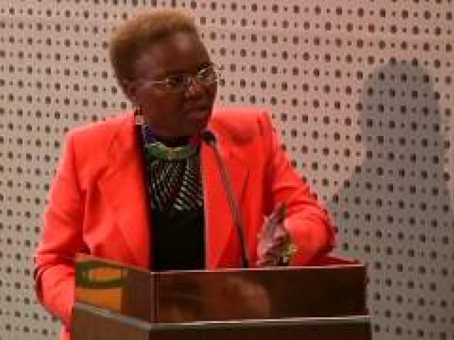 Minister Zulu speaks on attacks against foreigners