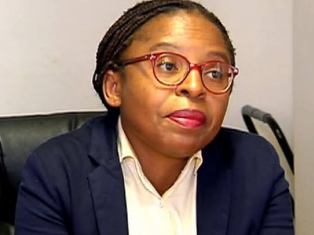 "South Africa after the Unrest" webinar