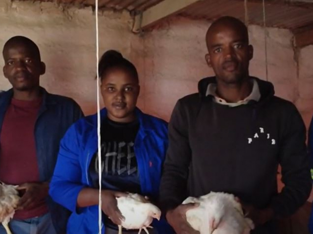 Turning Social Grants into Success: The Bayekeleni Poultry Project