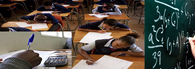 Senior certificate examination 2013