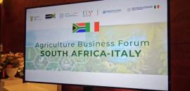 South Africa, Italy move to deepen agricultural trade and in