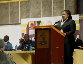 Mhlauli calls on youth to shape South Africa’s future throug