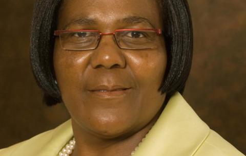 Minister of Transport Dipuo Peters