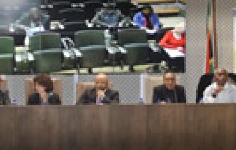 Media briefing to launch of the 2014 Employment Equity Report, Pretoria. GCIS