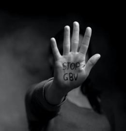 Government developing comprehensive GBVF prevention strategy