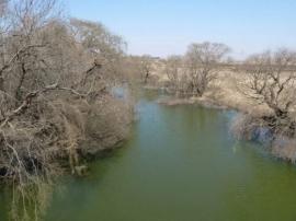 Polluted Wilge River. File image: Wikipedia