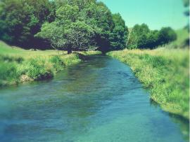 Water stream in park.