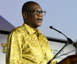 Mashatile at the launch of SANSI.
