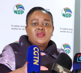 Minister Kubayi.
