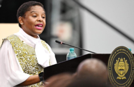 Minister Ntshavheni.