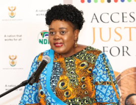 Minister Kubayi.