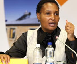 Minister Simelane.