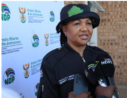 Deputy Minister Swarts.