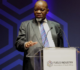 Minister Mantashe.