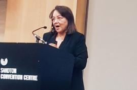 Minister De Lille.