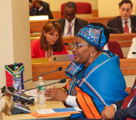 Minister Majodina.