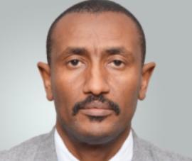 Rashid Ali Abdallah (photo: African Energy Commission) 