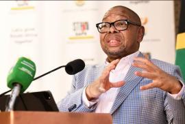 Minister Nzimande.