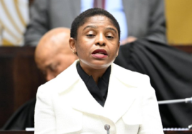 Minister Ntshavheni.
