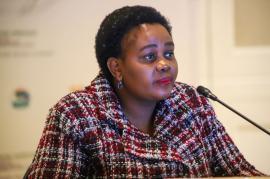 Minister Kubayi.