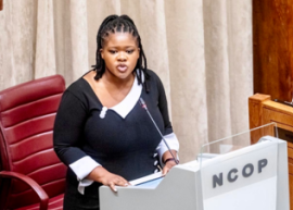 DM Mhlauli.