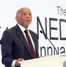 Minister of Electricity and Energy, Dr Kgosientsho Ramokgopa