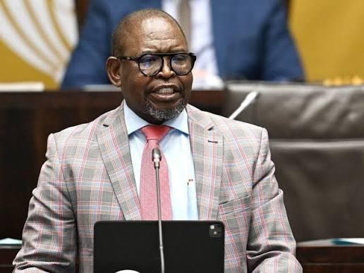 Finance Minister Godongwana.