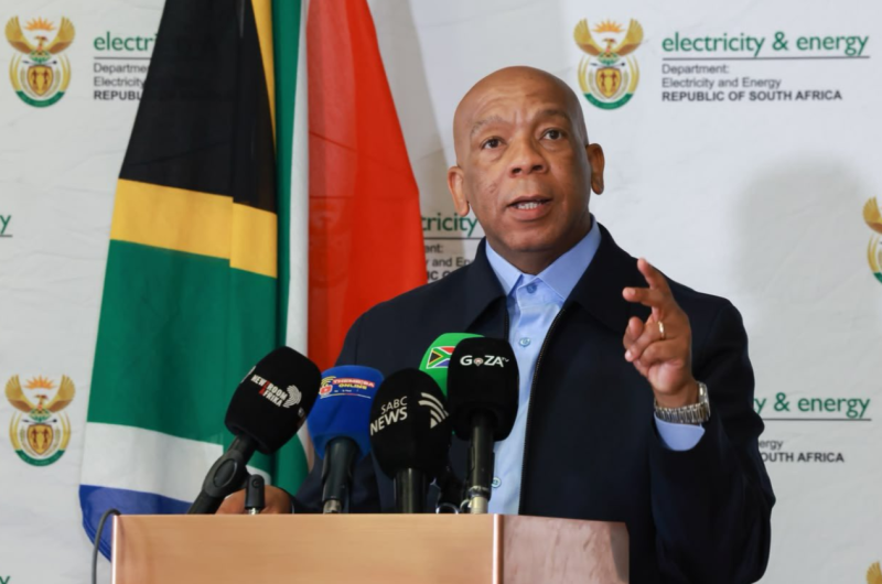 Electricity and Energy Minister Dr Kgosientsho Ramokgopa