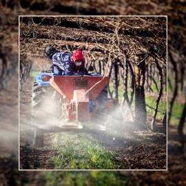 Limited access to funding and land, including bureaucracy, are among the key challenges facing young people in the agricultural sector.