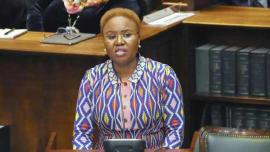 Social Development Minister Lindiwe Zulu. Image: ANA