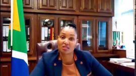 Deputy Minister Nkadimeng.