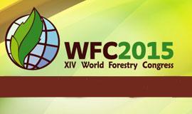 logo WFC2015
