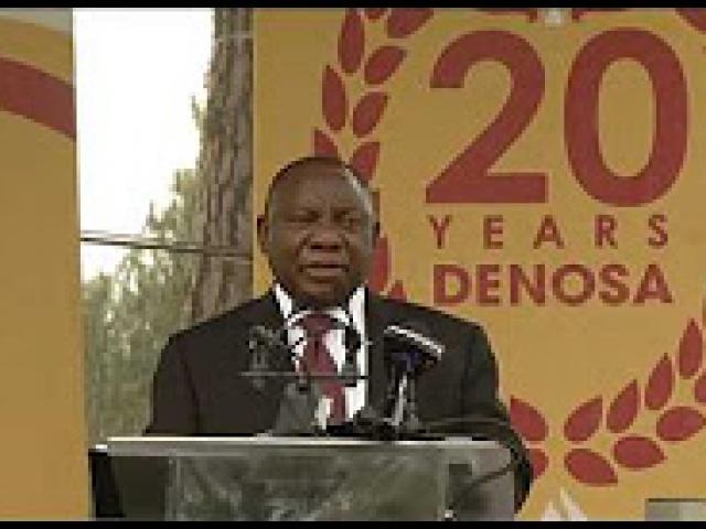 20th Anniversary of Denosa