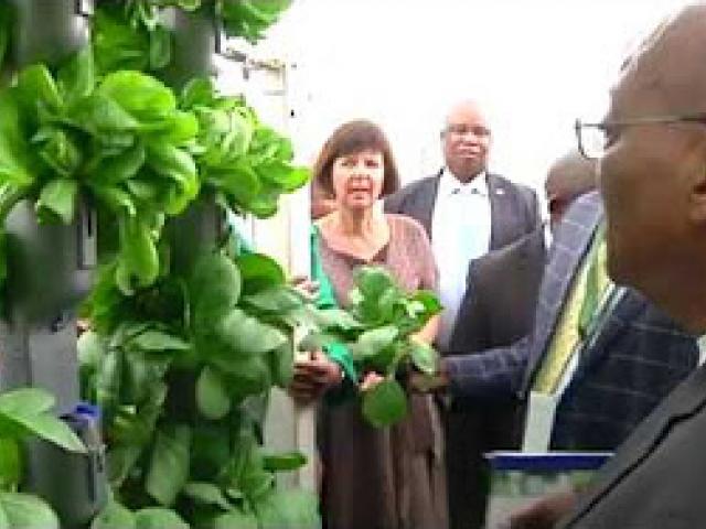 Communications Minister Ayanda Dlodlo on Government at Work