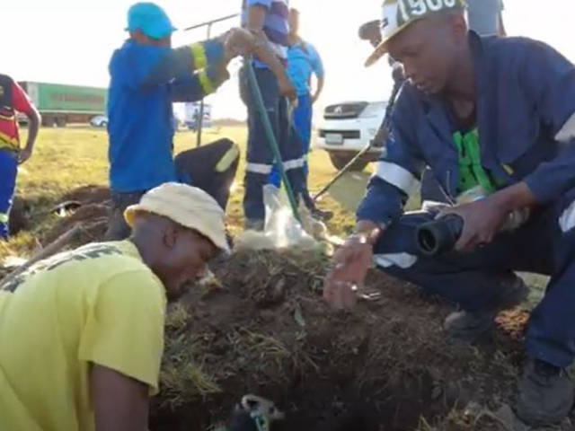 Sedibeng Imbizo preparations